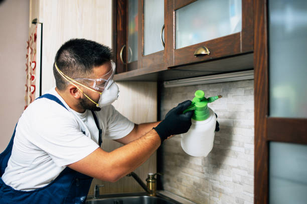  Montecito, CA Pest Control Pros