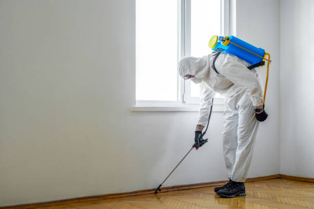 Reliable Montecito, CA Pest Control Solutions