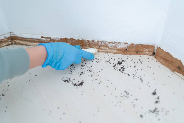 Best Pest Prevention Services  in Montecito, CA